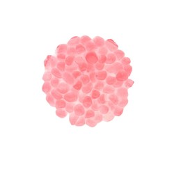 Jelly Balls - Cristal Boba Sakura 2kg