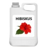 Syrop Hibiskusowy 2,5kg do Bubble Tea